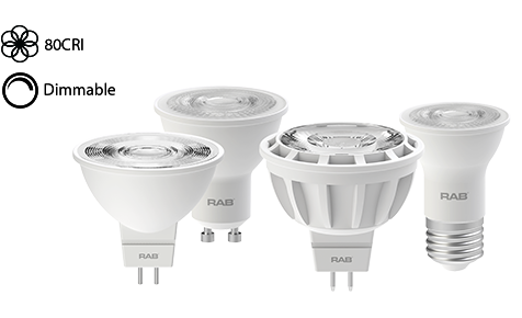 Neutral Gray Finish Color Temperature Standard Type RAB Lighting ALED2T105NRG/PC LED High Wattage Type II Area Light 4000 K