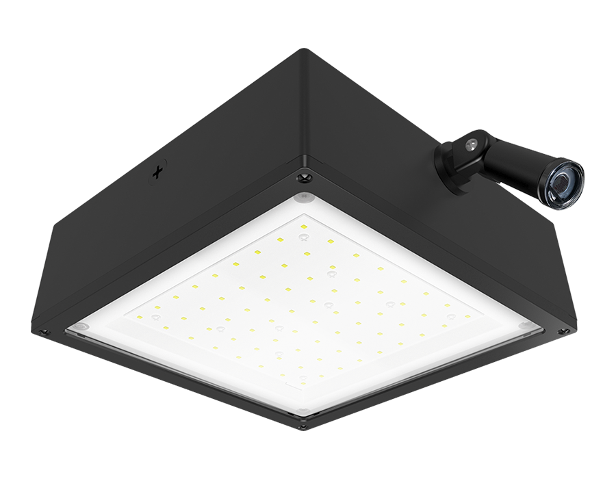 RAB VANLED20NF/PCS VNDLPRF CANOPY 20W NEUT.120V F