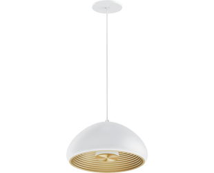  This is a link to the product AURA-P12WG