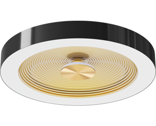  This is a link to the product AURA-S16BG