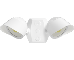  This is a link to the product BULLET2X12W
