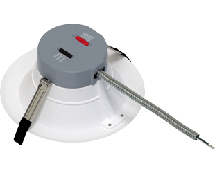 CR8/LCBS large thumb-2