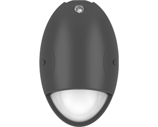 DROP/E large thumb-3