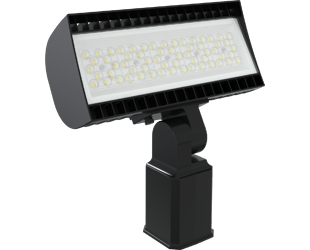  This is a link to the product FXLEDXSSF