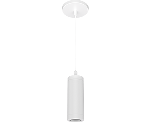  This is a link to the product CDLED2PC-10W-40D940-W