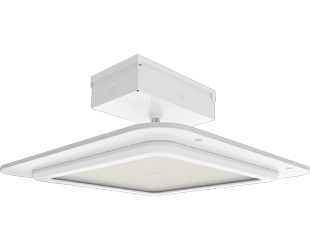  This is a link to the product MASI20