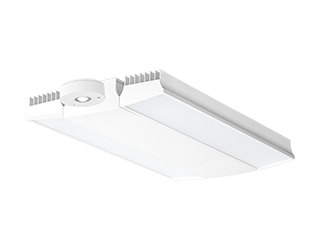  This is a link to the product RAIL225W/D10/LCS