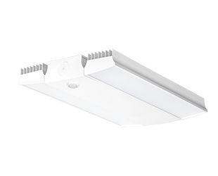  This is a link to the product RAIL225W/D10/WS4