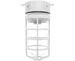  This is a link to the product VX100DGW