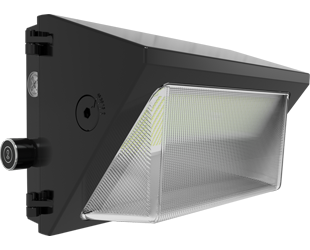  This is a link to the product W22-M-100/LCBS/MVS