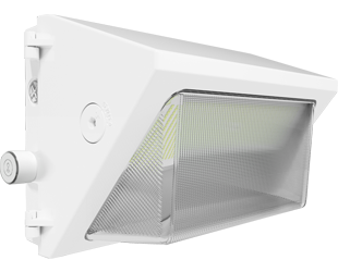  This is a link to the product W22-M-100W/LCBS/MVS