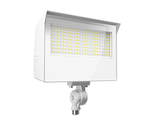 X22-80W large main