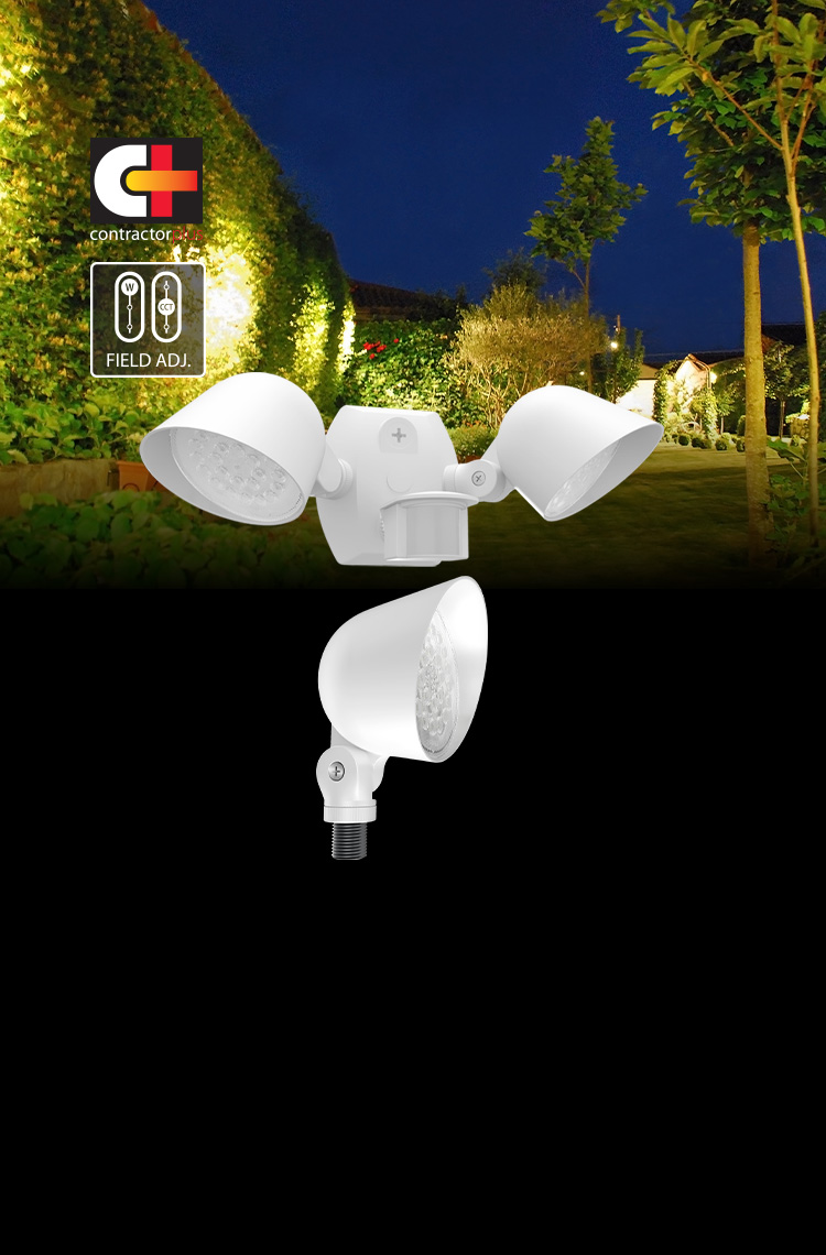 LF17 Field-Adjustable Landscape Lights - RAB Lighting