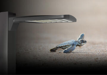 ALED Amber Field Adjustable Area Lights