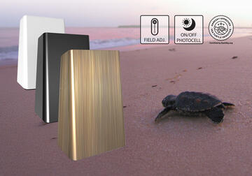 SLIM Amber Field-Adjustable Wall Packs